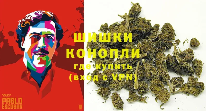 Шишки марихуана Bruce Banner  Юрьев-Польский 